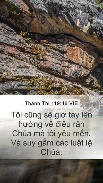 Thánh Thi 119:48 VIE Bible Verse Image