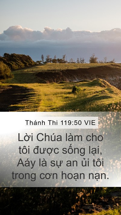 Thánh Thi 119:50 VIE Mobile Phone Wallpaper - Lời Chúa làm cho tôi được sống lại, - Mobile Bible Verse Wallpaper