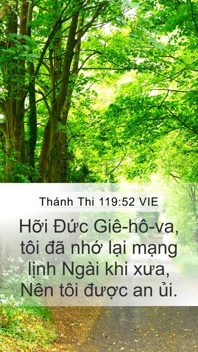 Thánh Thi 119:52 VIE Bible Verse Image
