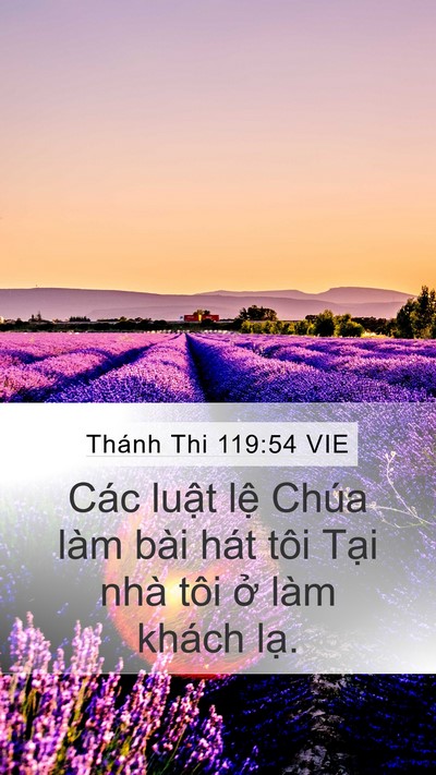 Thánh Thi 119:54 VIE Bible Verse Image