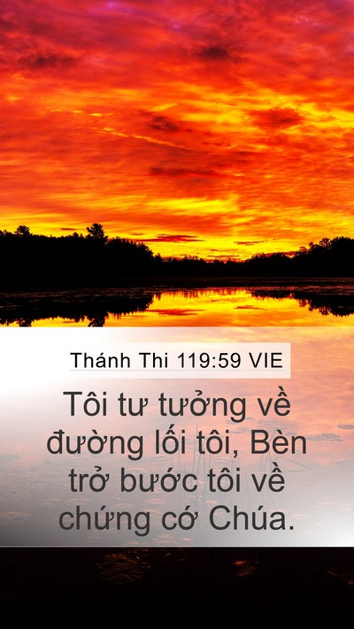 Thánh Thi 119:59 VIE Bible Verse Image