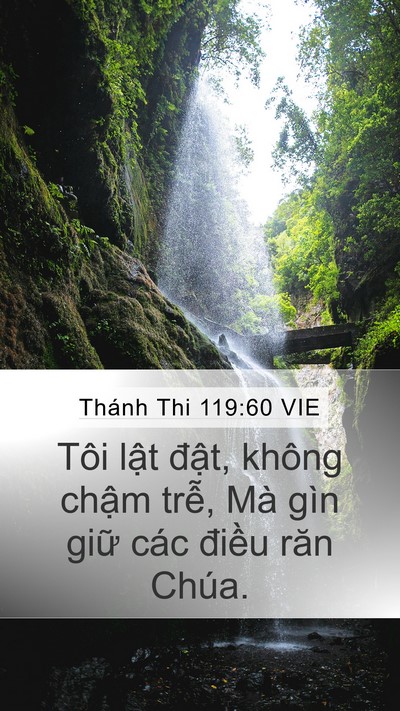 Thánh Thi 119:60 VIE Bible Verse Image