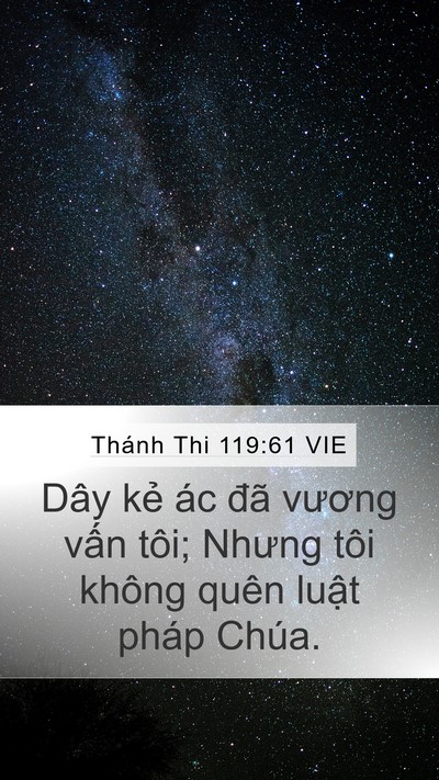 Thánh Thi 119:61 VIE Bible Verse Image