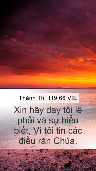 Thánh Thi 119:66 VIE Bible Verse Image