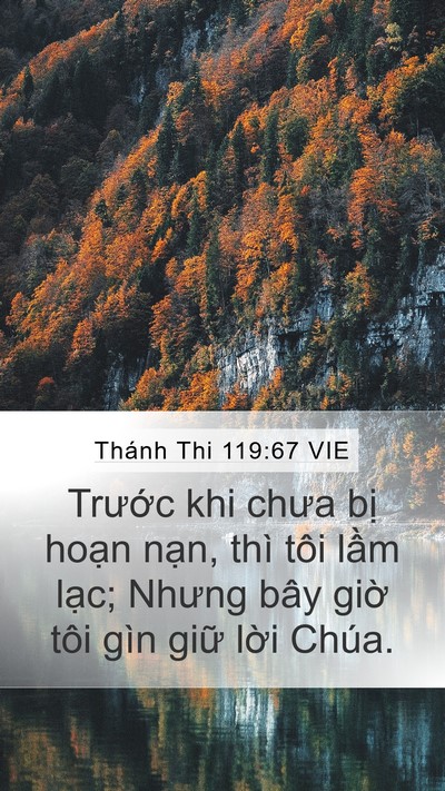 Thánh Thi 119:67 VIE Bible Verse Image