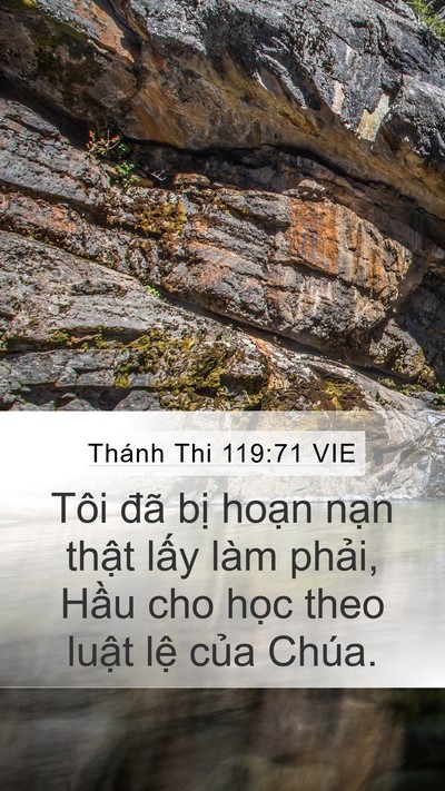 Thánh Thi 119:71 VIE Mobile Phone Wallpaper - Tôi đã bị hoạn nạn thật lấy làm - Mobile Bible Verse Wallpaper