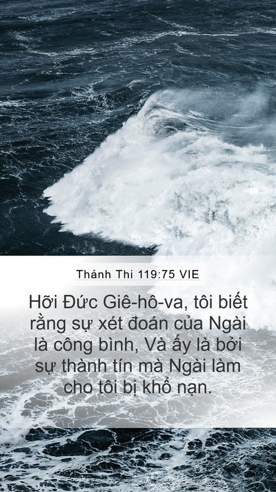 Thánh Thi 119:75 VIE Bible Verse Image