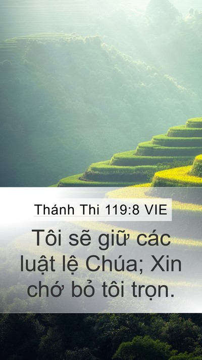 Thánh Thi 119:8 VIE Mobile Phone Wallpaper - Tôi sẽ giữ các luật lệ Chúa; Xin chớ - Mobile Bible Verse Wallpaper