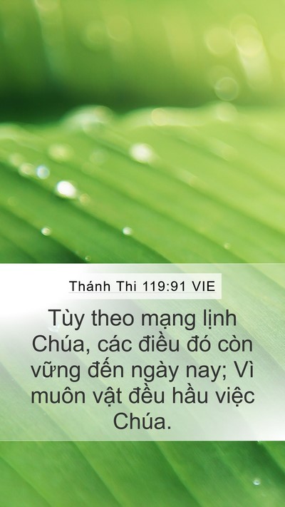 Thánh Thi 119:91 VIE Bible Verse Image
