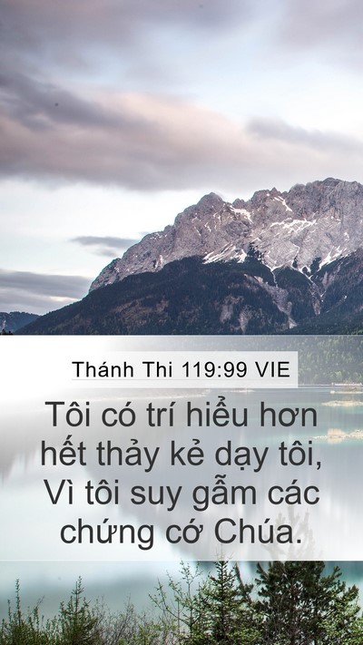 Thánh Thi 119:99 VIE Bible Verse Image