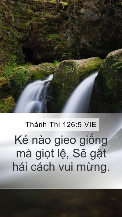 Thánh Thi 126:5 VIE Bible Verse Image