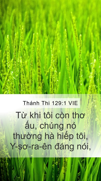 Thánh Thi 129:1 VIE Mobile Phone Wallpaper - Từ khi tôi còn thơ ấu, chúng nó - Mobile Bible Verse Wallpaper