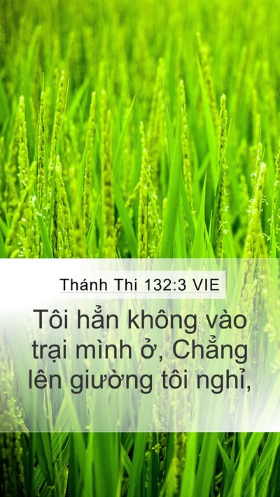 Thánh Thi 132:3 VIE Mobile Phone Wallpaper - Tôi hẳn không vào trại mình ở, Chẳng - Mobile Bible Verse Wallpaper