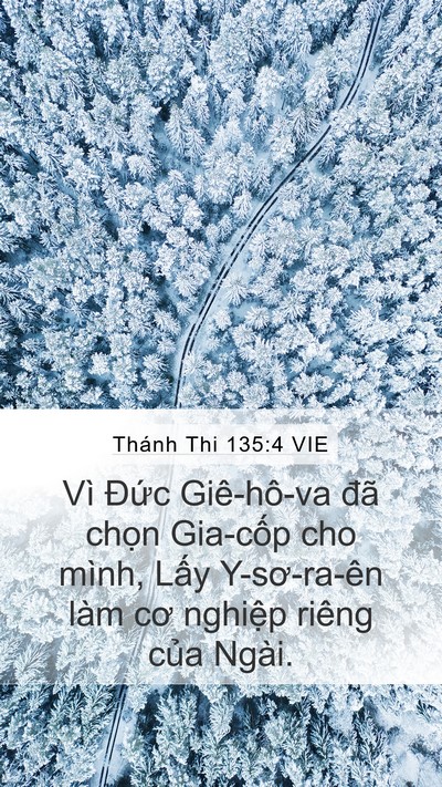 Thánh Thi 135:4 VIE Bible Verse Image