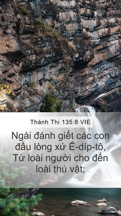 Thánh Thi 135:8 VIE Bible Verse Image
