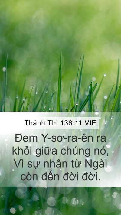 Thánh Thi 136:11 VIE Mobile Phone Wallpaper - Đem Y-sơ-ra-ên ra khỏi giữa chúng nó, - Mobile Bible Verse Wallpaper