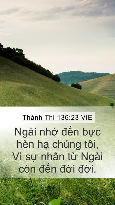 Thánh Thi 136:23 VIE Bible Verse Image