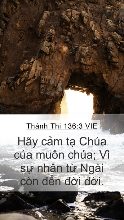Thánh Thi 136:3 VIE Mobile Phone Wallpaper - Hãy cảm tạ Chúa của muôn chúa; Vì sự - Mobile Bible Verse Wallpaper
