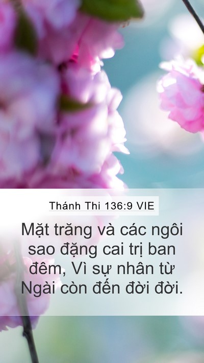 Thánh Thi 136:9 VIE Mobile Phone Wallpaper - Mặt trăng và các ngôi sao đặng cai trị - Mobile Bible Verse Wallpaper