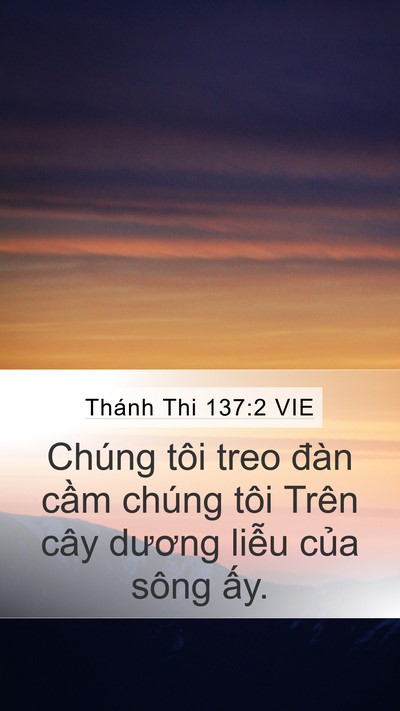 Thánh Thi 137:2 VIE Mobile Phone Wallpaper - Chúng tôi treo đàn cầm chúng tôi Trên - Mobile Bible Verse Wallpaper