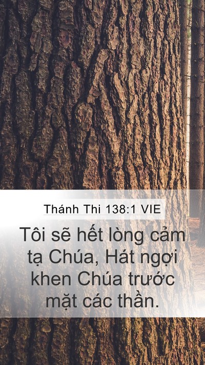 Thánh Thi 138:1 VIE Bible Verse Image