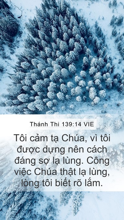 Thánh Thi 139:14 VIE Bible Verse Image