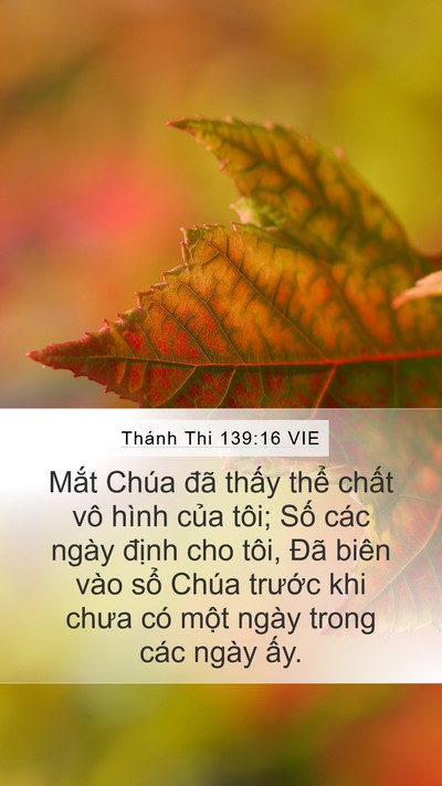 Thánh Thi 139:16 VIE Bible Verse Image