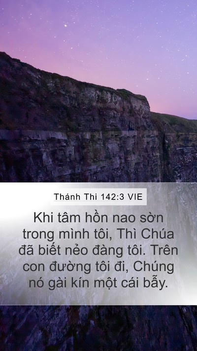 Thánh Thi 142:3 VIE Bible Verse Image