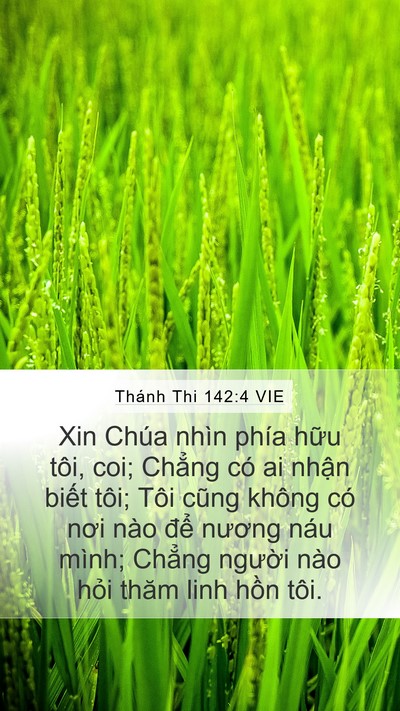 Thánh Thi 142:4 VIE Bible Verse Image