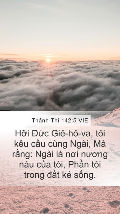 Thánh Thi 142:5 VIE Bible Verse Image