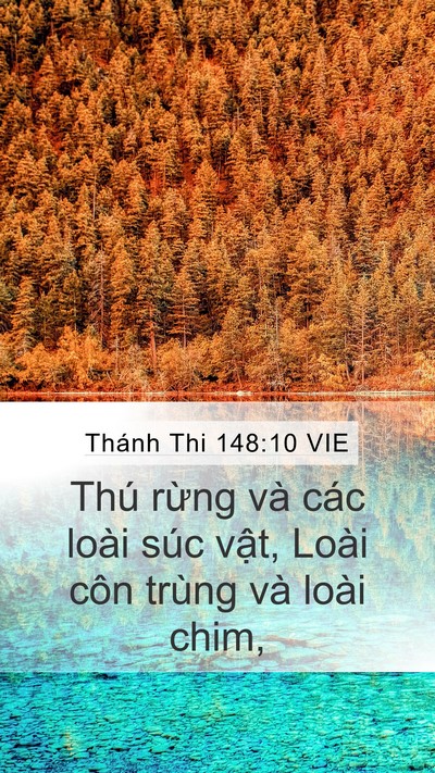 Thánh Thi 148:10 VIE Mobile Phone Wallpaper - Thú rừng và các loài súc vật, Loài côn - Mobile Bible Verse Wallpaper