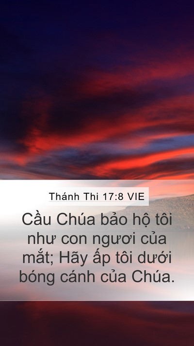 Thánh Thi 17:8 VIE Bible Verse Image