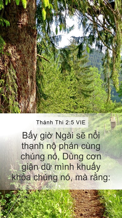 Thánh Thi 2:5 VIE Bible Verse Image
