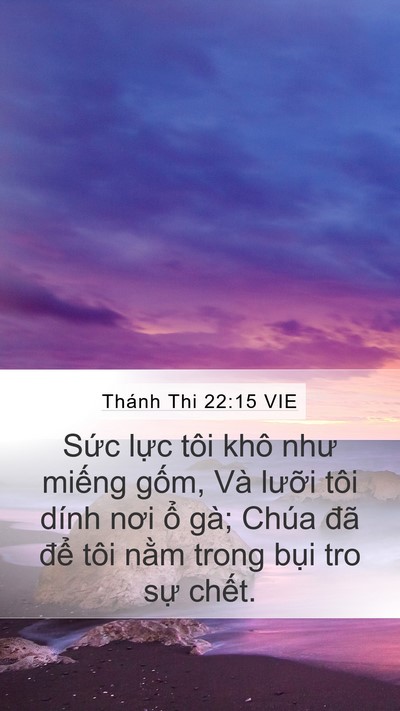 Thánh Thi 22:15 VIE Bible Verse Image