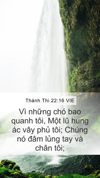 Thánh Thi 22:16 VIE Bible Verse Image