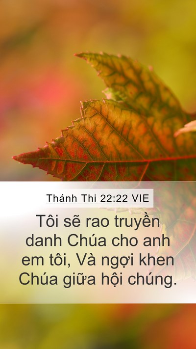 Thánh Thi 22:22 VIE Bible Verse Image