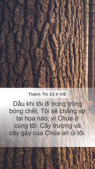 Thánh Thi 23:4 VIE Bible Verse Image
