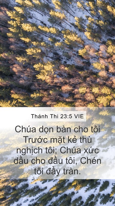 Thánh Thi 23:5 VIE Bible Verse Image