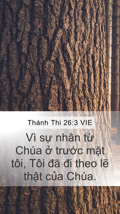 Thánh Thi 26:3 VIE Bible Verse Image