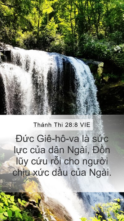 Thánh Thi 28:8 VIE Bible Verse Image