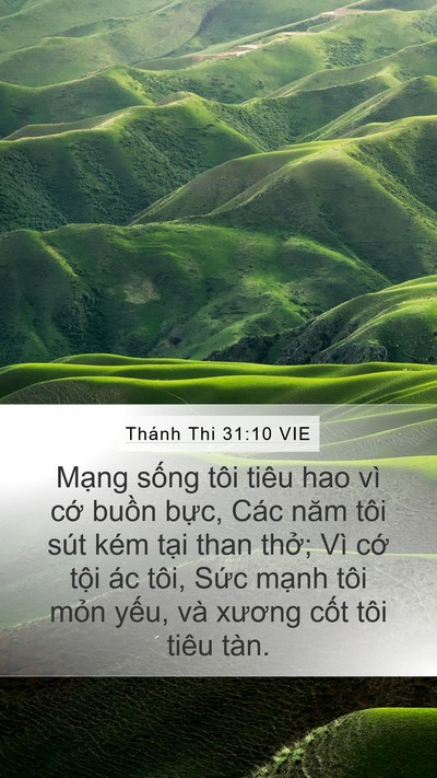 Thánh Thi 31:10 VIE Bible Verse Image