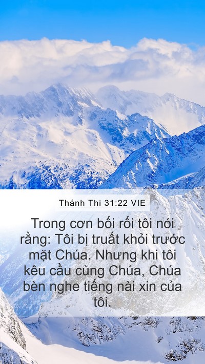 Thánh Thi 31:22 VIE Bible Verse Image