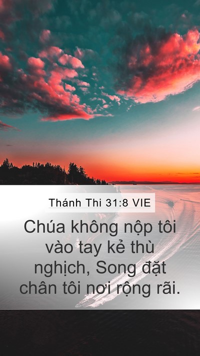 Thánh Thi 31:8 VIE Bible Verse Image