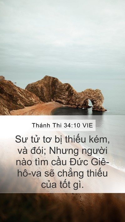Thánh Thi 34:10 VIE Bible Verse Image