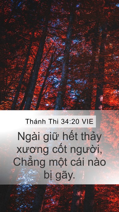Thánh Thi 34:20 VIE Bible Verse Image