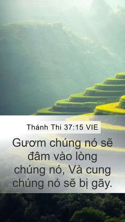 Thánh Thi 37:15 VIE Bible Verse Image