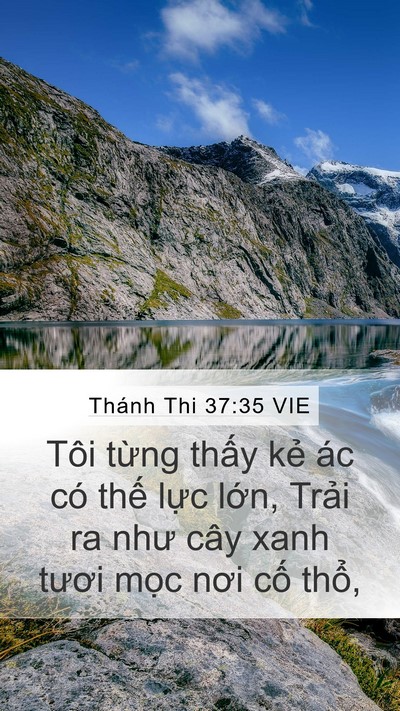 Thánh Thi 37:35 VIE Bible Verse Image