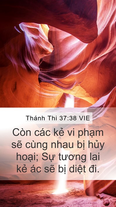 Thánh Thi 37:38 VIE Bible Verse Image