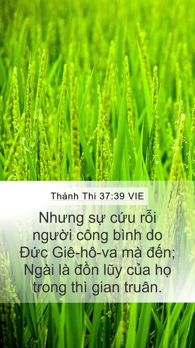 Thánh Thi 37:39 VIE Bible Verse Image