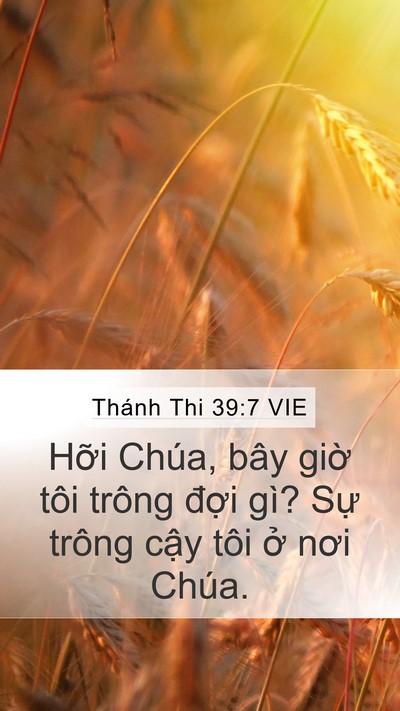 Thánh Thi 39:7 VIE Bible Verse Image